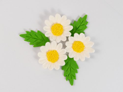 Set “Daisies with Leaves (white)” 46