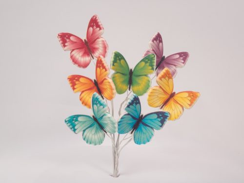 Set "Butterflies colourful (on the dart) " 16