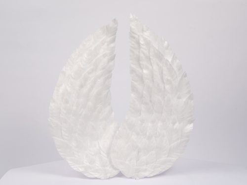 Set “Waffle Wings– double-sided (pair)” 6